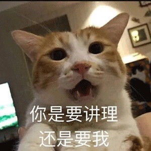 小班活动笔记:蛋制食品品尝会_幼儿园教学实录