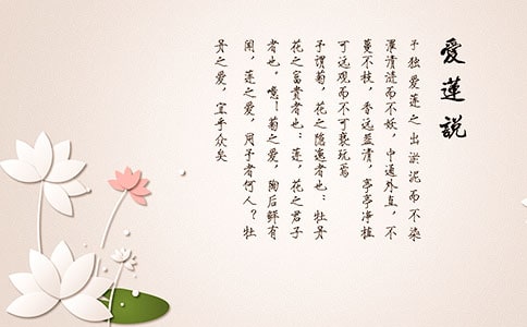 读爱莲说有感