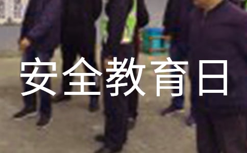 全县安全教育日活动总结