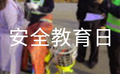 安全教育日幼儿园活动总结