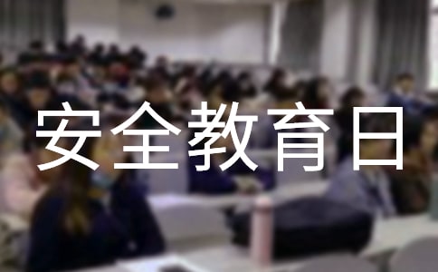 小学安全教育日活动总结