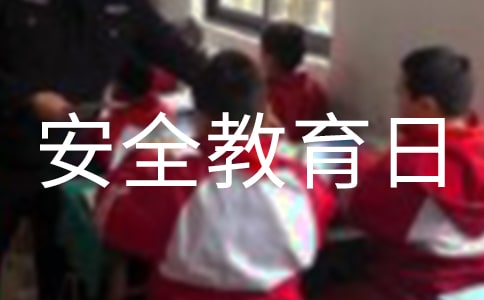 学校全民国家安全教育日活动总结