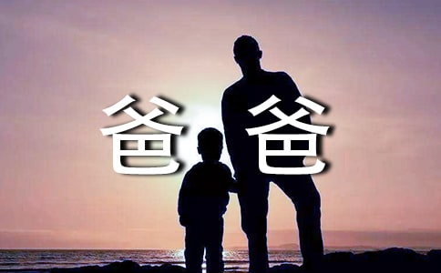 《装在口袋里的爸爸》读后感