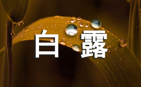 2023年白露问候语21条