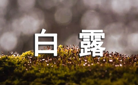 白露吃什么传统食物(推荐)