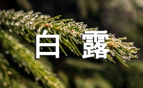 秋天白露的寄语