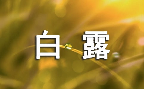 描写白露时节的语句