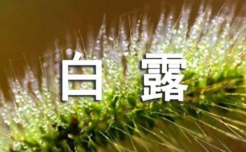 白露吃什么传统食物(合集)