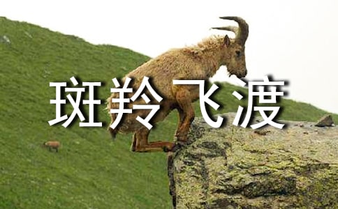 【优】斑羚飞渡读书笔记15篇