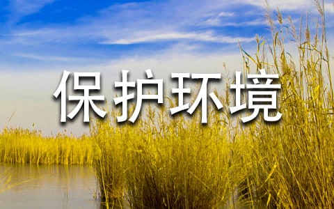 保护环境倡议书14篇(热)