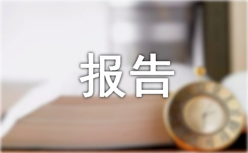 专业实践总结报告