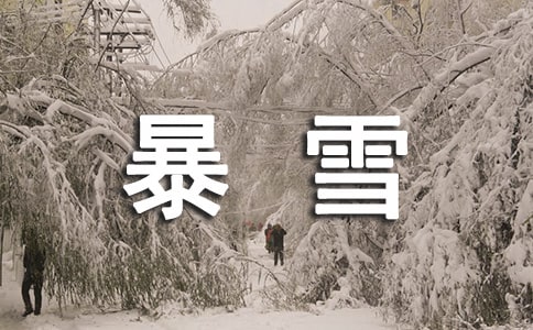 冬季暴雪应急预案