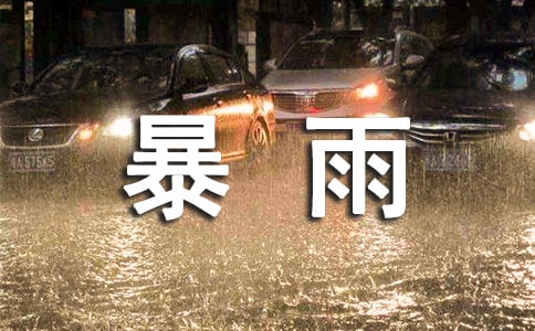 《暴雨筛》读后感13篇