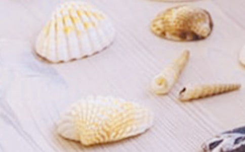 席慕容《贝壳》阅读答案
