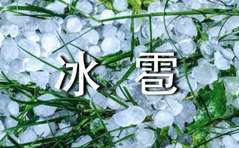 预防冰雹天气应急预案