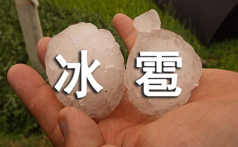 小学防防雨雪冰雹等恶劣天气应急预案