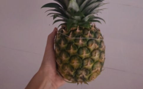�����ѡ����ݮ
