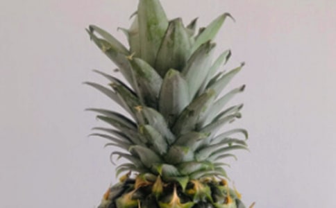 夏季常吃菠萝有什么好处