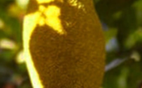菠萝蜜怎么切