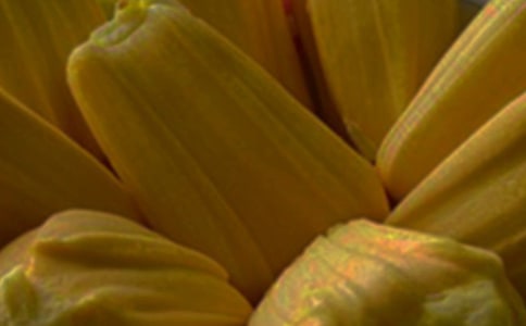 怎么挑选菠萝蜜