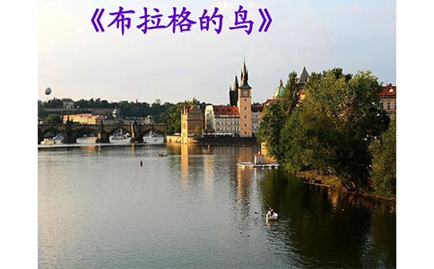 天使的翅膀——《布拉格的鸟》读后感