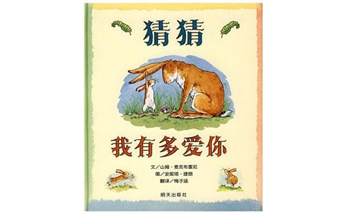 《猜猜我有多爱你》教案(通用15篇)