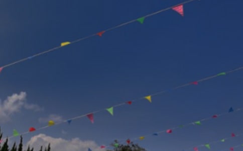 中班排序活动挂彩旗教案(精选11篇)