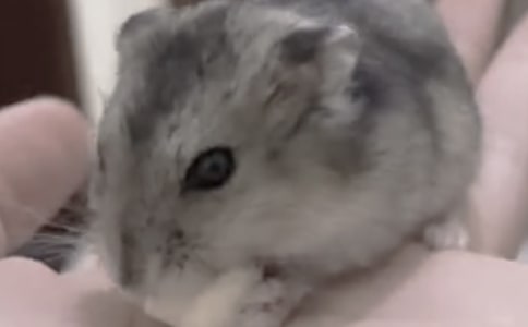 û���Ĳ��󱦱���ô��