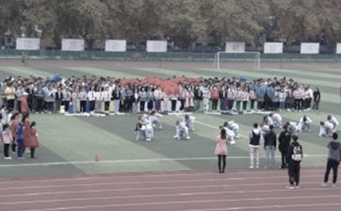 关于操场上教案合集8篇