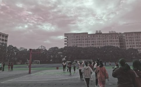 操场上教案