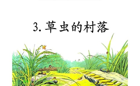 草虫的村落阅读答案(热)