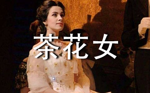 茶花女读后感(必备)