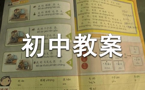 初中教案