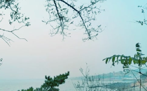 《春风》阅读答案