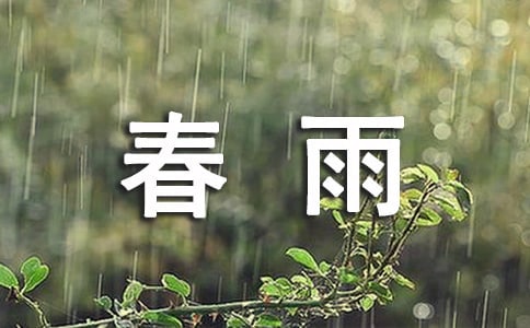 春雨的色彩教学反思