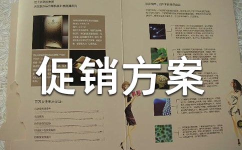 促销方案必备(9篇)