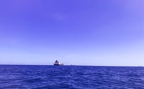 大海导游词4篇