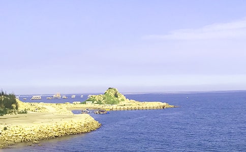 大海教学反思