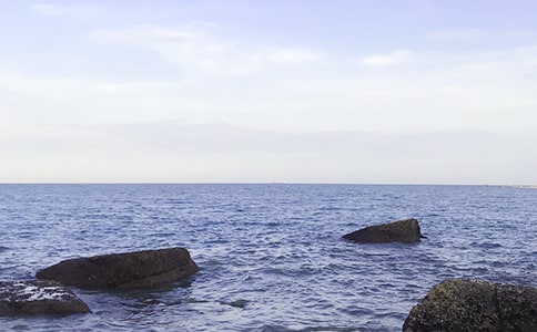 大海的歌课文反思