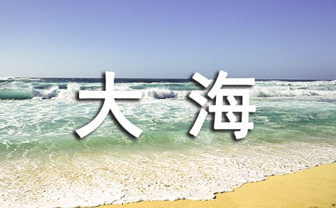 墨尔本最值得一去的8大海滩