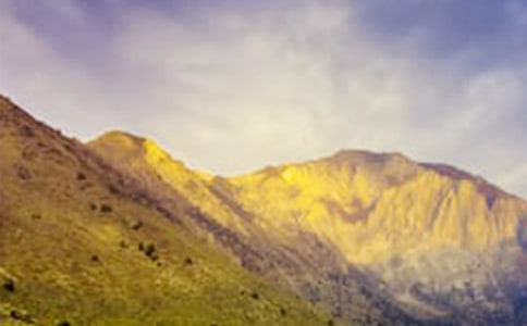 《热闹的大山》教案