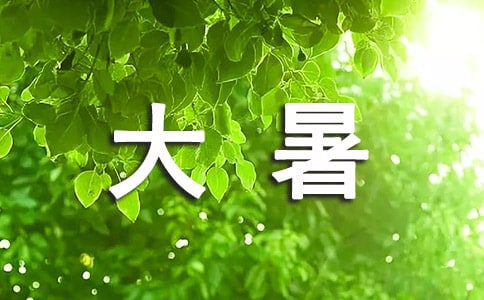 大暑节气活动总结(通用7篇)