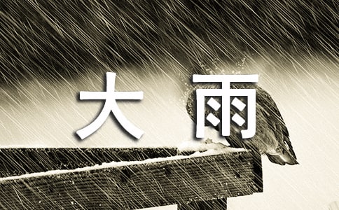 2024年精选形容大雨的句子8条