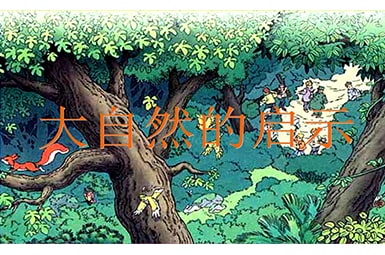 《大自然的启示》读后感