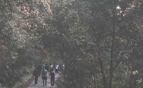 环保文明登山倡议书