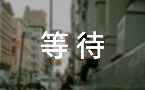 等待一个人的句子(经典)