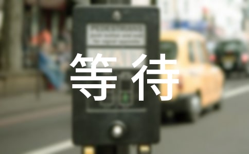 《一天的等待》阅读答案