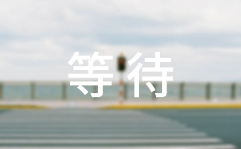 《等待绽放》读后感