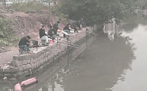 (通用)读《钓鱼的启示》有感15篇