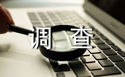 职场调查报告集合15篇
